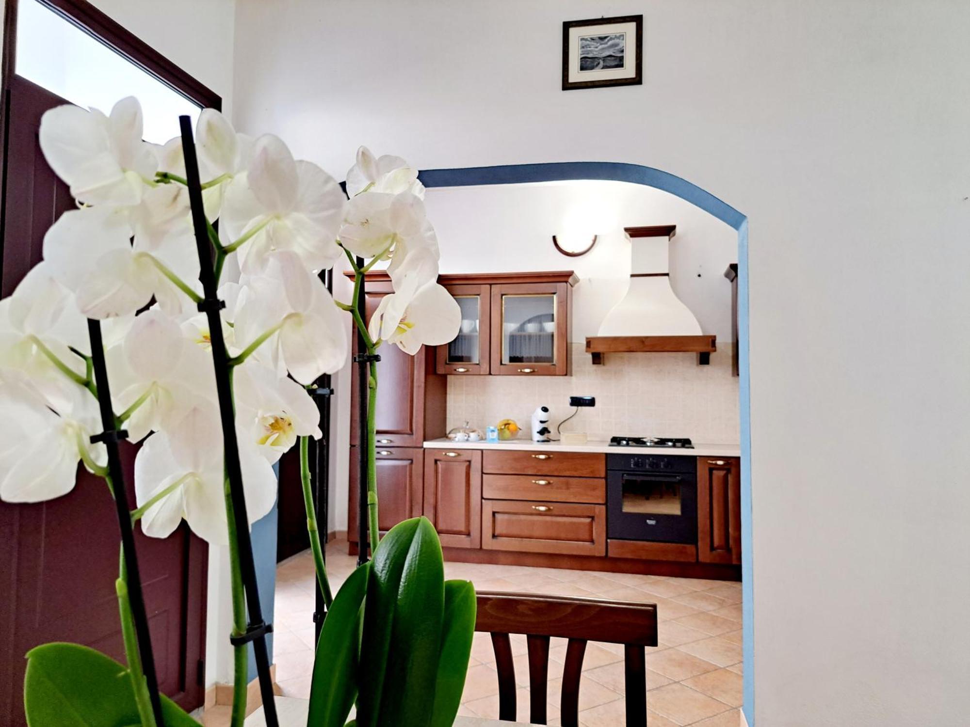 Anninnia Guest House B&B - Ghiiarza Ghilarza Kültér fotó